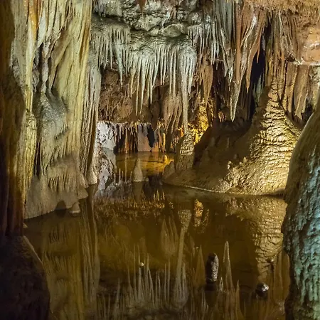 In With One-bedroom 7 Lägenhet Poreč