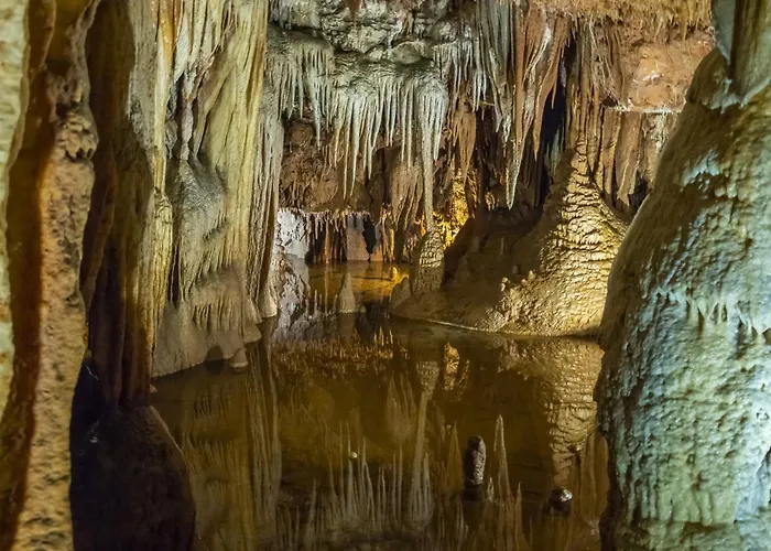 In With One-bedroom 7 Lejlighed Poreč