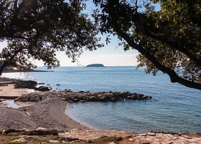 In With One-bedroom 7 Appartement